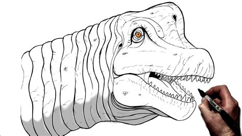 How To Draw A Brachiosaurus Head Step By Step Youtube