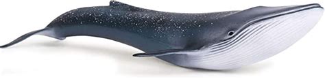 Eoivsh Sea Animal Figure Blue Whale Toy Plastic Large