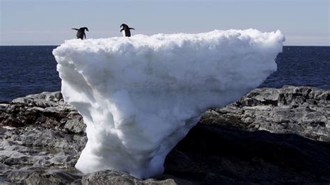 Ice forms when the temperature of water reaches 32 degrees fahrenheit (0 degrees celsius). Greenland's ice melting rate reaching 'tipping point ...