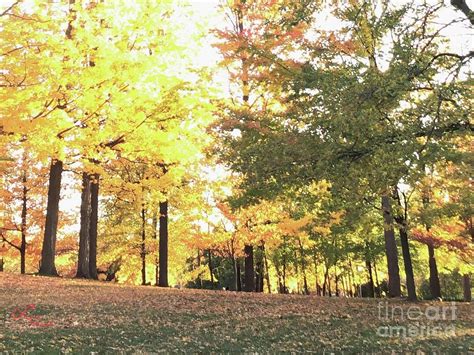 Sunny Fall Day Photograph By Lynne Paterson Fine Art America