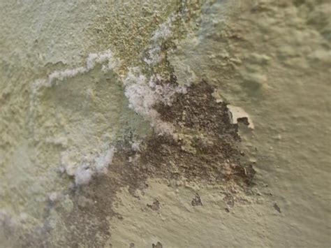 Paint can start to peel a few days to several years after applying a fresh coat of paint. Paint coming off walls - DoItYourself.com Community Forums