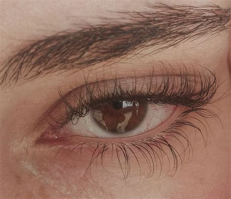 Pin By Rawan Murad On My Eye Aesthetic Eyes Pretty Eyes Lashes