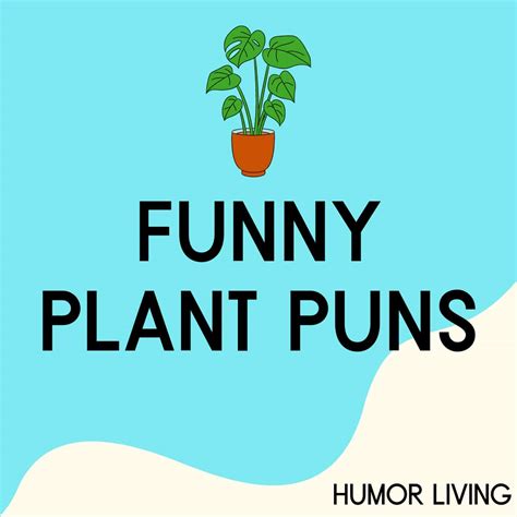 160 Funny Plant Puns To Grow Laughter Humor Living