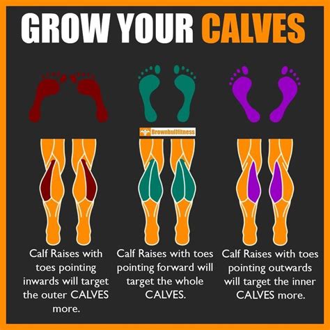 How To Train For Bigger Better Calf Mus Health And Fitness