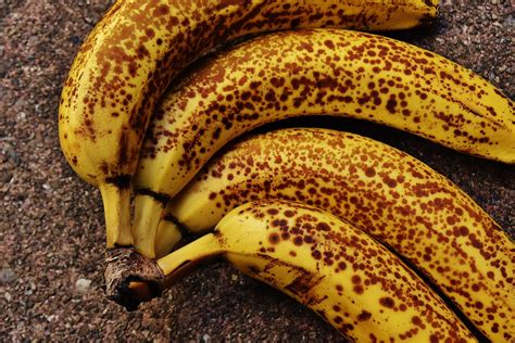 free images nature fruit flower ripe food produce yellow healthy close bananas