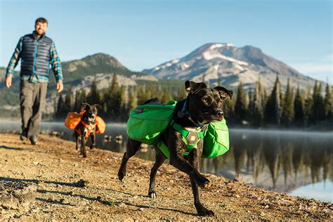 K9 Climb 10 Best Hiking Backpacks For Dogs Hiconsumption