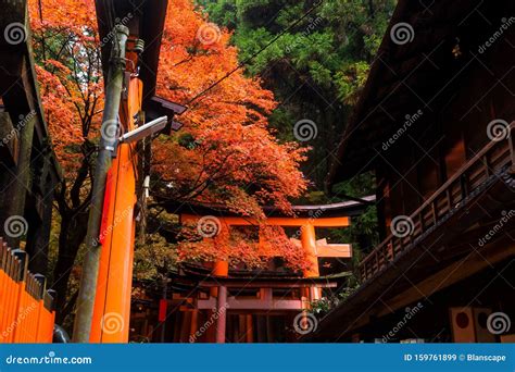 Fushimi Inari Shrine In Autumn Kyoto Stock Image Image Of Exterior