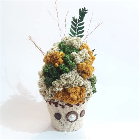 Bisa jadi dua jenis bunga berbeda memiliki nama yang sama di wilayah yang berbeda. Kata Kata Mutiara Tentang Bunga Edelweiss 2019 | 1satukata