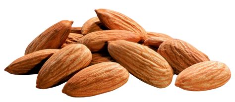 Almond Png Transparent Image Download Size 2384x1040px