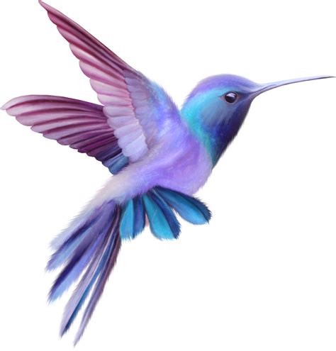 Hummingbird Clipart Printable Pictures On Cliparts Pub 2020 🔝