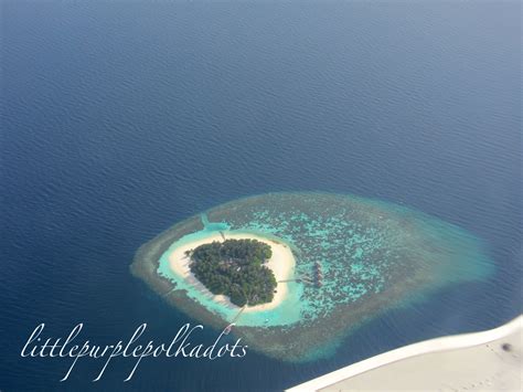 Heart Shaped Island Maldives Heart Shapes Maldives Island