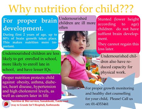 Importance Of Nutrition In Child Growth And Development Nutrition Pics