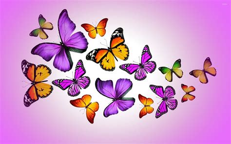 Purple Butterflies Wallpaper Images