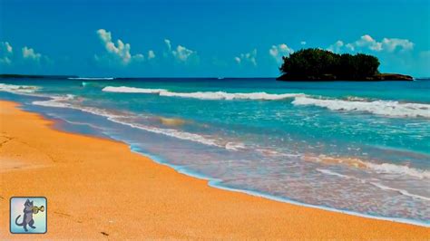 Wonderful Tropical Beach・planet Earth Amazing Nature Scenery・best Relax