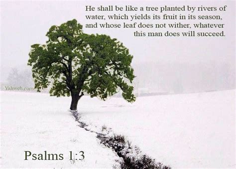 Psalm 13 Trees To Plant Psalm 1 Psalms