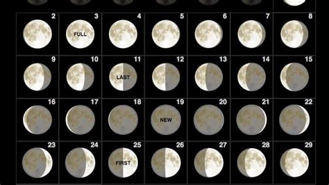 August 2020 Moon Calendar In 2020 Moon Phase Calendar Moon Calendar