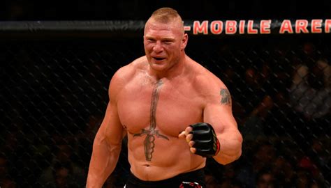 | meaning, pronunciation, translations and examples. Former UFC heavyweight champion Brock Lesnar 'retires from ...