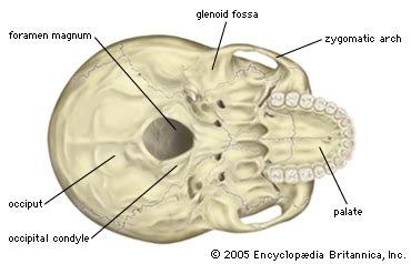 55497-004-11C5F53E.jpg