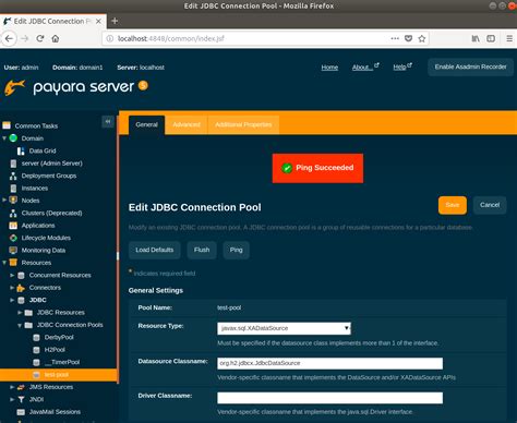 An Introduction To Connection Pools In Payara Server 5