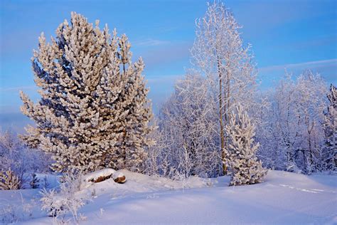 Winter Snow Nature Landscape Wallpapers Hd Desktop