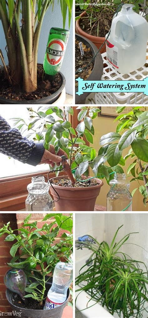 31 Clever Diy Self Watering Container Garden Ideas When