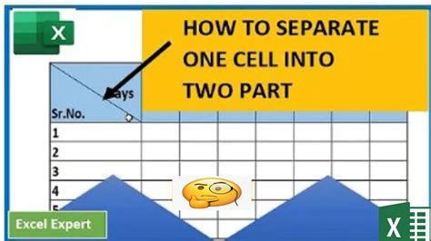 How To Separate One Cell Into Two Parts Divide One Cell Into Two In