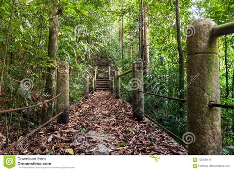 Nature Trailpath With Wooden Bridge In Deep Forest National Pa Stock
