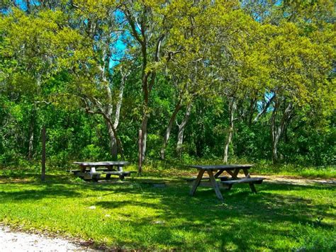 Top 10 Campgrounds For Ocala National Forest Camping