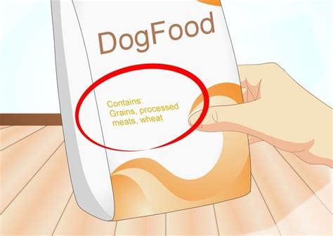 But, then i noticed the other ear was looking inflamed. Food Allergies In German Shepherd Dogs | 1001doggy.com