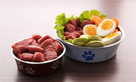 The Top 15 Ideas About Raw Dog Food Diet Easy Recipes To Make At Home