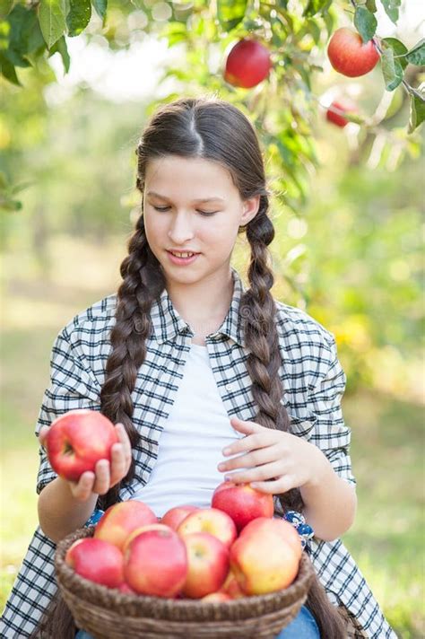Girl With Apple In The Apple Orchard Stock Image Image Of Healthcare