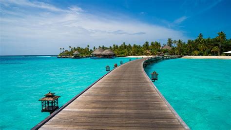 tropical bungalows in halaveli maldives backiee