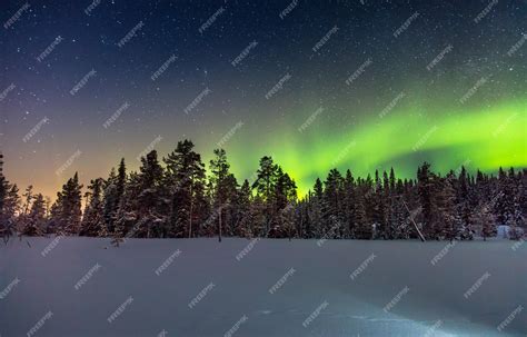 Premium Photo Real Northern Lights Or Aurora Borealis Above The Snow