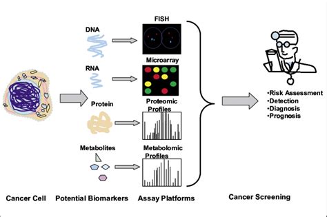 Approaches For Biomarker Discovery For Clinical Application Cancer