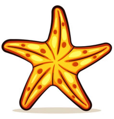Starfish Clipart Pictures On Cliparts Pub 2020 🔝