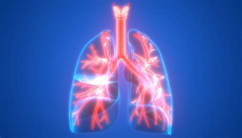 Five Things To Know About A Lung Cancer Screening Moffitt