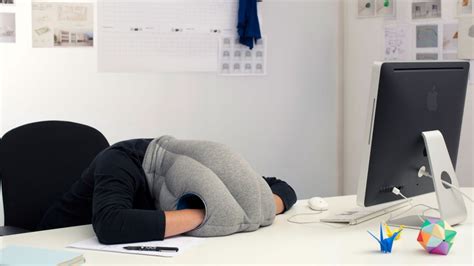 If you're wondering about checking the history of your house, get ready to learn how to unc. Ostrich Pillow Creeps Onto Kickstarter | Inc.com