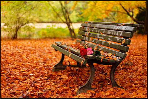 1920x1080px 1080p Free Download Romantic Autumn Colorful Fall