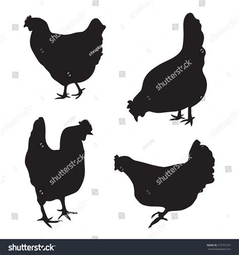 silhouettes chickens stock vector royalty free 273791375 shutterstock
