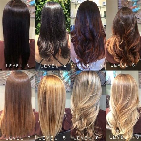 Killerstrands Hair Clinic How To Achieve A Level 8 Hair