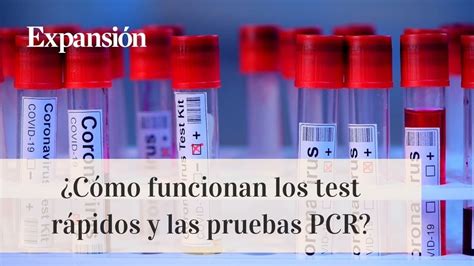 Pcr Y Test R Pidos C Mo Funcionan Y Cu Les Son Sus Diferencias Youtube