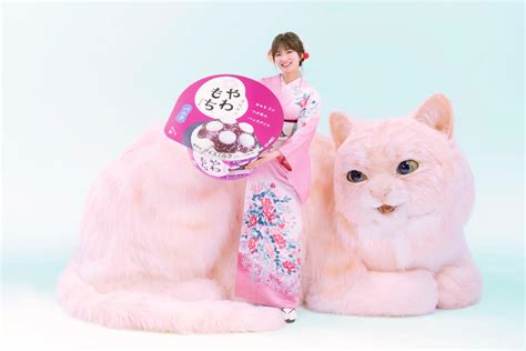 アイスクリームのテレビCMにピンク色の巨大な猫が登場モデル女優の岡崎紗絵さんも出演 Cat Press