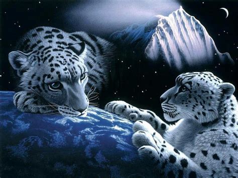 45 Snow Leopard Desktop Wallpaper On Wallpapersafari