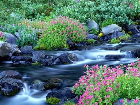 Wallpapermaniacal Desk Top Wallpaper Nature Scenes Rivers And