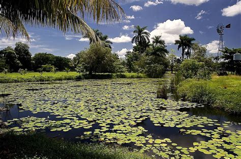 Ciénaga De Zapata National Park And Reserve Cuba Lac Geo
