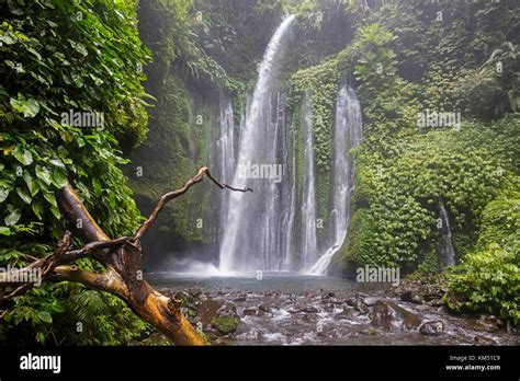 Air Terjun Tiu Kelep Waterfall Near Senaru In The Tropical Rainforest