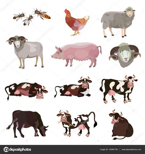Farm Animals Vector Stock Vector Image By ©newgena 152981748