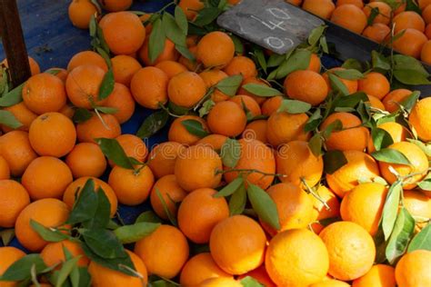 New Harvest Of Sweet Ripe Oranges Fruits On Market Stock Photo Image