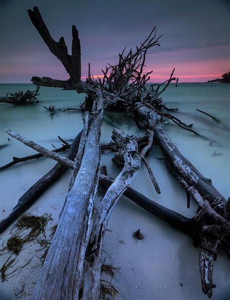 Florida Sunset Tones Photograph By Chris Haverstick Fine Art America