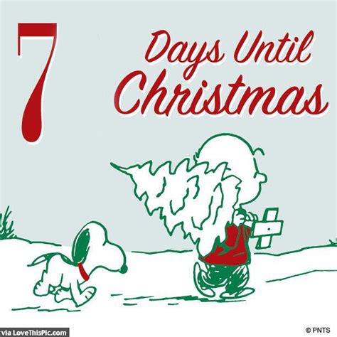 Snoopy 7 Days Until Christmas Quote Pictures Photos And